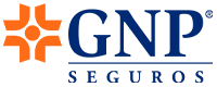 GNP